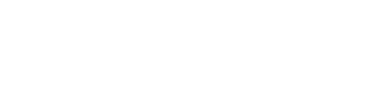 skyloft white logo